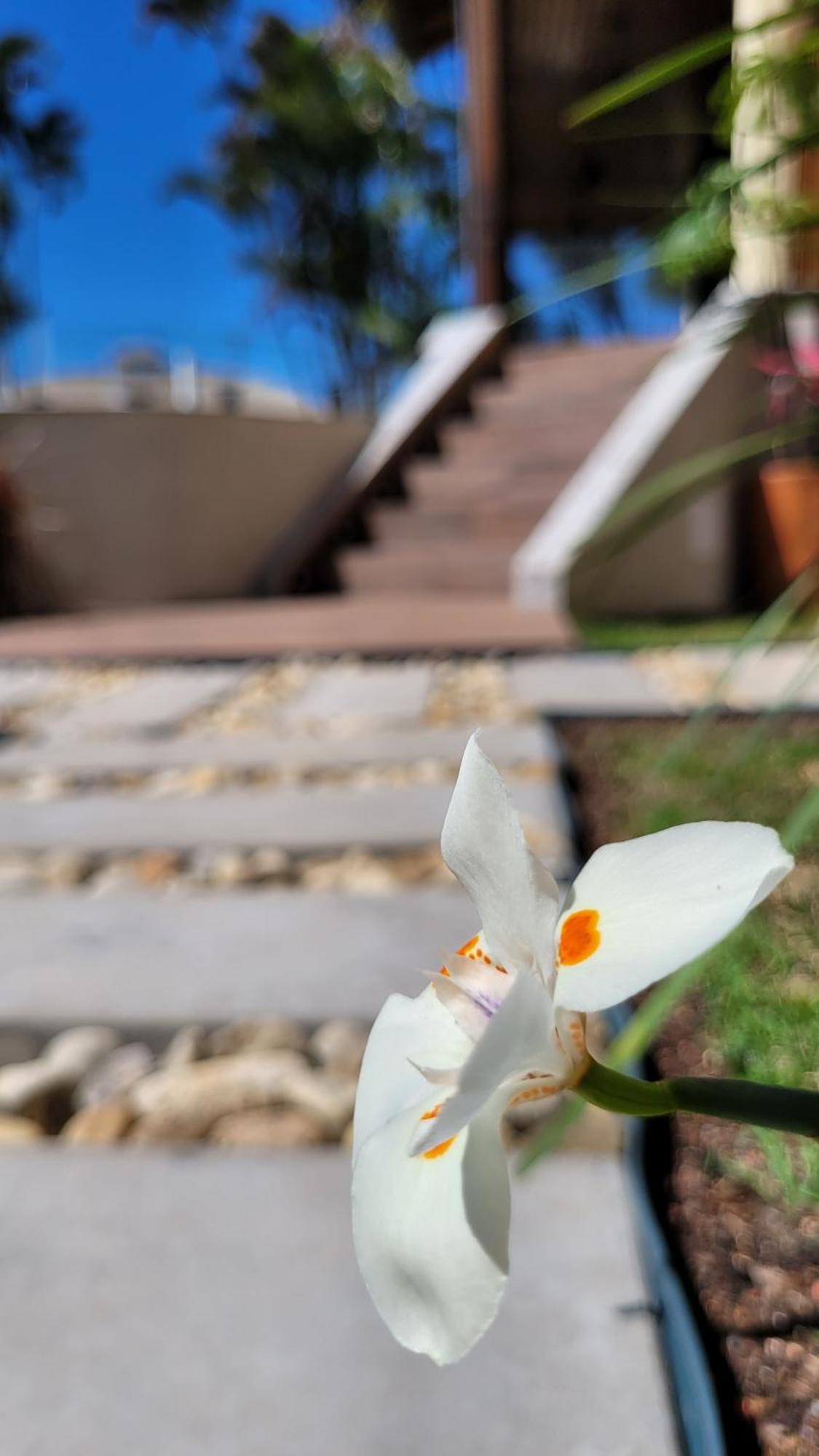 Apart Hotel Beira Do Mar Флоріанополіс Екстер'єр фото